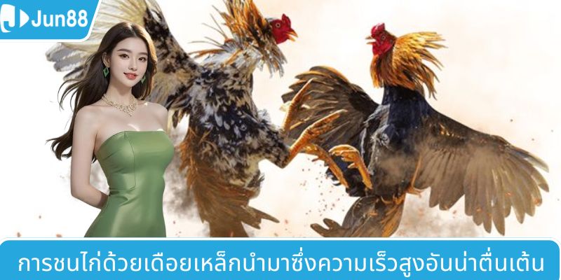ไก่ชนตีนเหล็กมอบความเร็วและความตื่นเต้นสูง