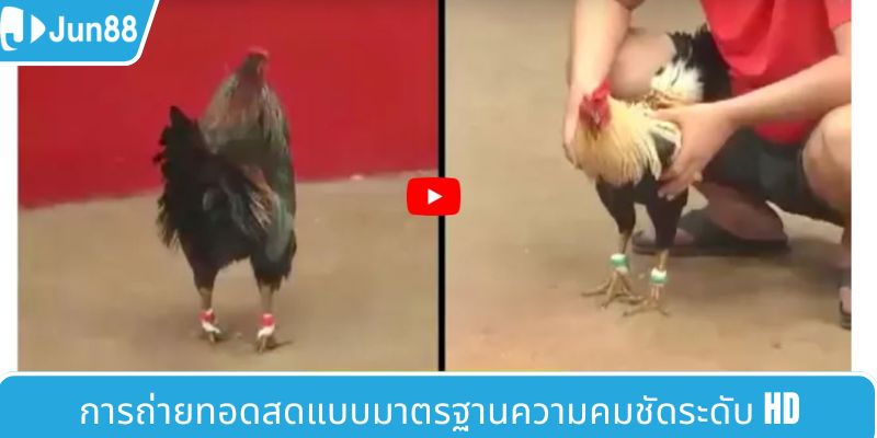การถ่ายทอดสดแบบ HD คมชัดระดับสูง