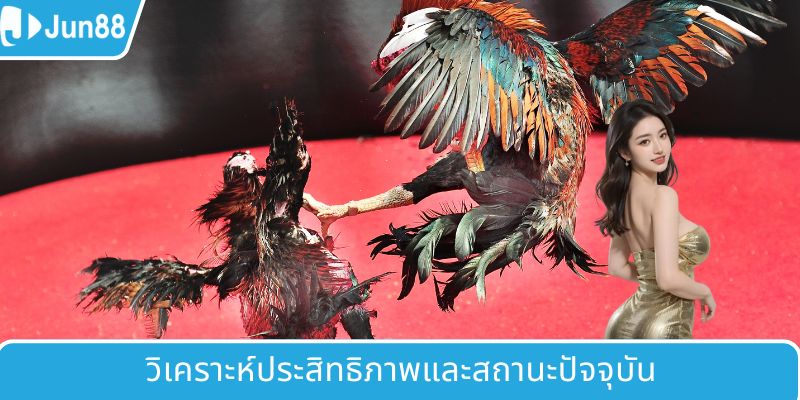 วิเคราะห์สมรรถภาพและสภาพปัจจุบัน