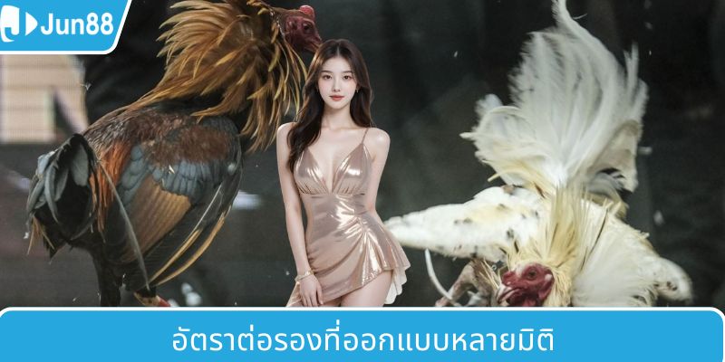 อัตราต่อรองถูกออกแบบหลายมิติ
