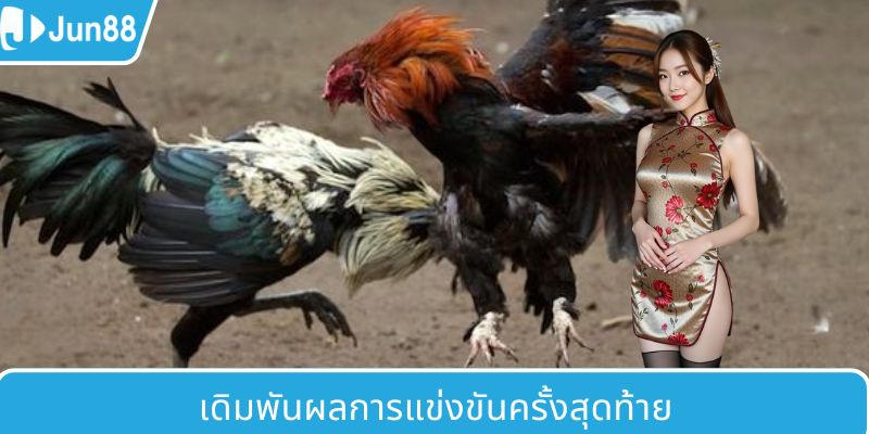สนามเล่นโดดเด่นด้วยอัตราต่อรองพิเศษที่เหนือกว่า