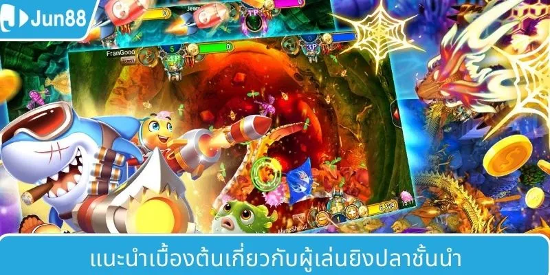 ข้อมูลเบื้องต้นเกี่ยวกับ Top Player ยิงปลา
